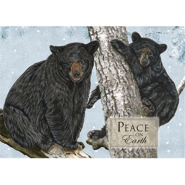 Pipsqueak Productions Pipsqueak Productions C719 Holiday Bears Wildlife Christmas Boxed Cards - Pack of 10 C719